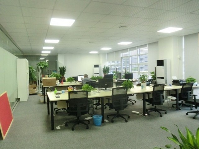 合肥30岁的女人脱发的原因